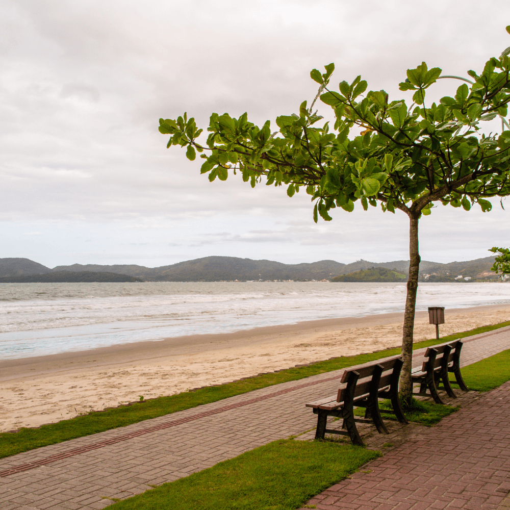 Conheça os tesouros naturais de Itapema: Saiba mais sobre as praias de destaque que tornam a cidade um paraíso costeiro